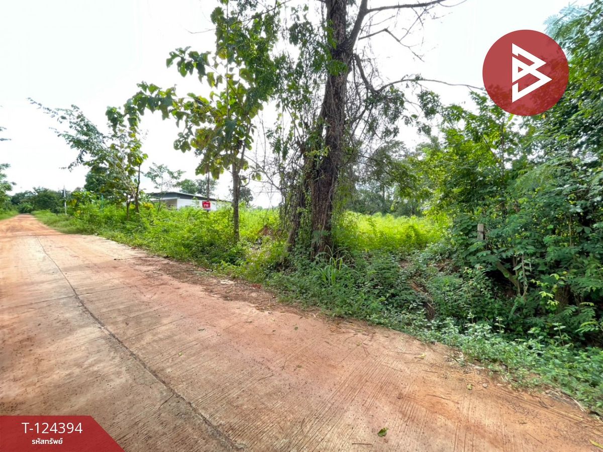 Beautiful plot of land for sale, area 1 rai 54 square wa, Na Fai Subdistrict, Chaiyaphum. – รูปที่ 4