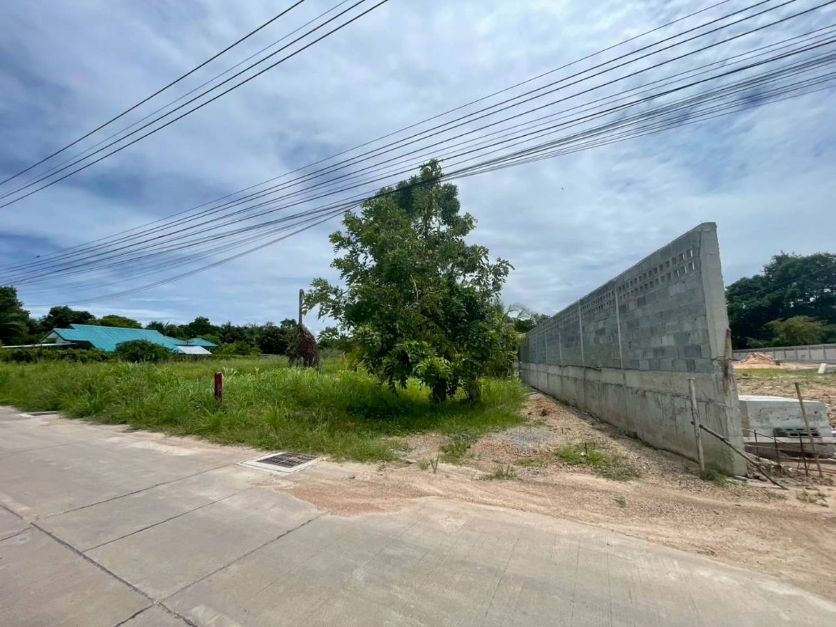 ขายที่ดินเปล่า ต.หนองข้างคอก ชลบุรี 