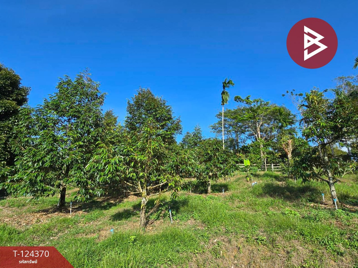 Land for sale, area 3 rai 60 sq m, Pong Nam Ron, Chanthaburi. – รูปที่ 4
