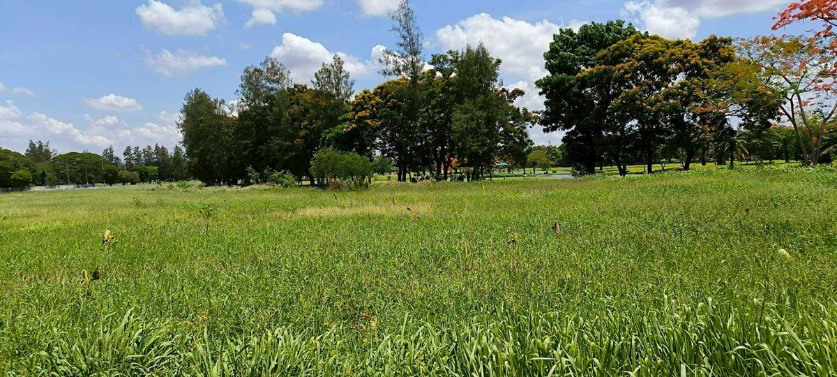 ขาย ที่ดิน 2 ไร่ ในสนามกอฟล์วินเซอร์ ทำเล เขต หนองจอก  – รูปที่ 2