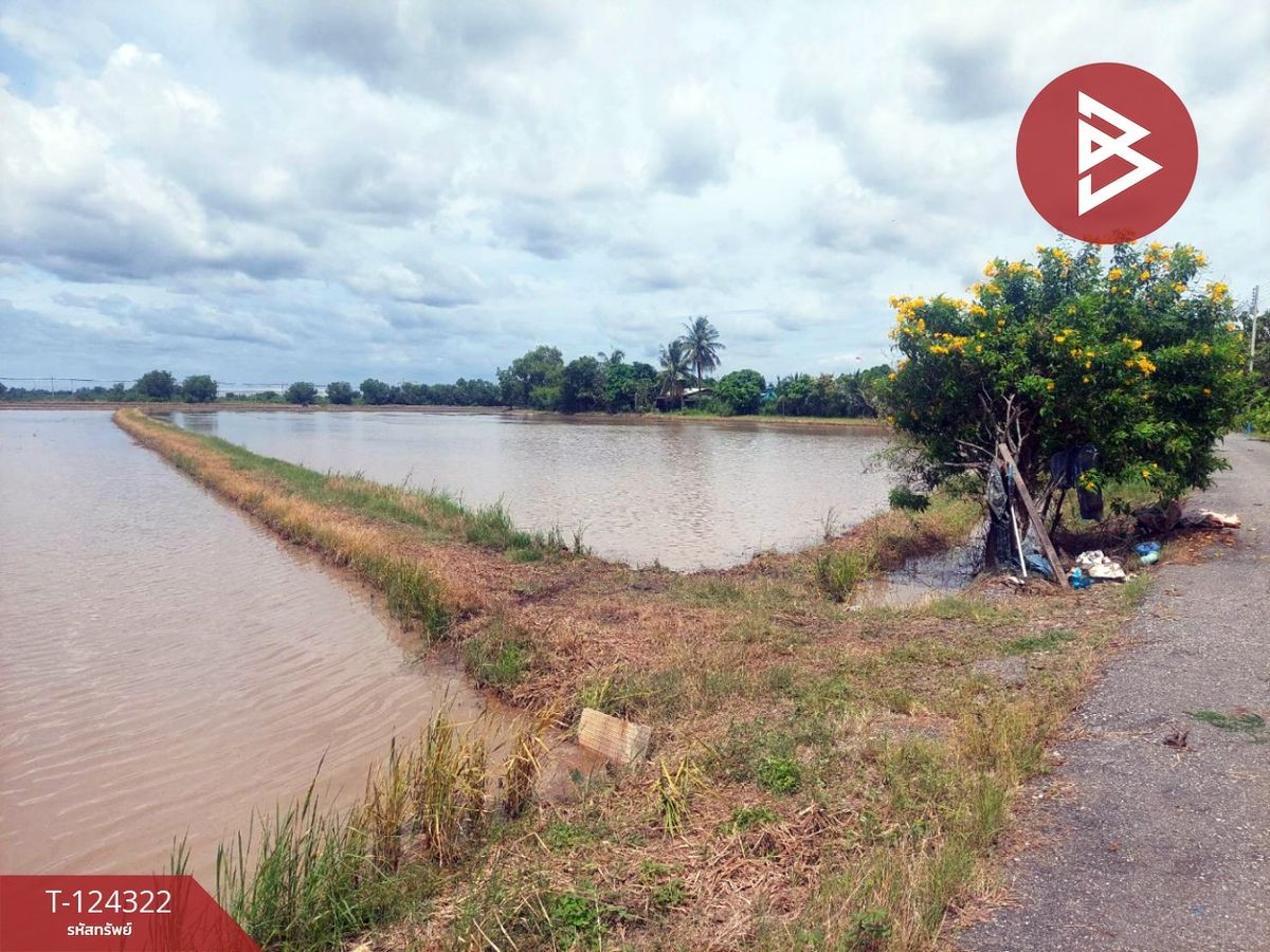 ขายที่ดิน เนื้อที่ 14 ไร่ 3 งาน บางขวัญ ฉะเชิงเทรา – รูปที่ 3