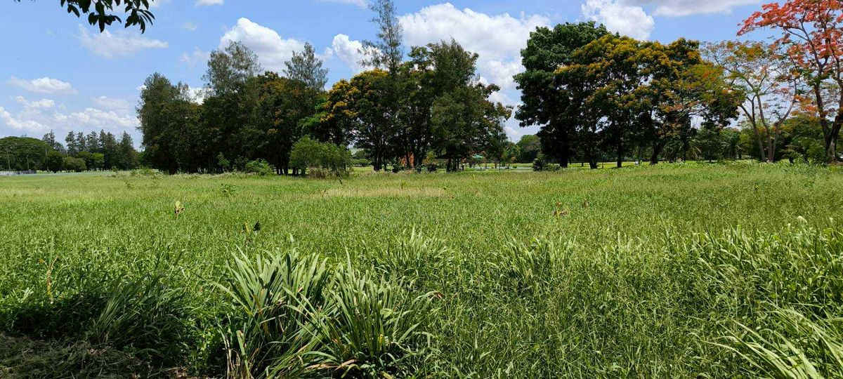 ขาย ที่ดิน 2 ไร่ ในสนามกอฟล์วินเซอร์ ทำเล เขต หนองจอก  – รูปที่ 4