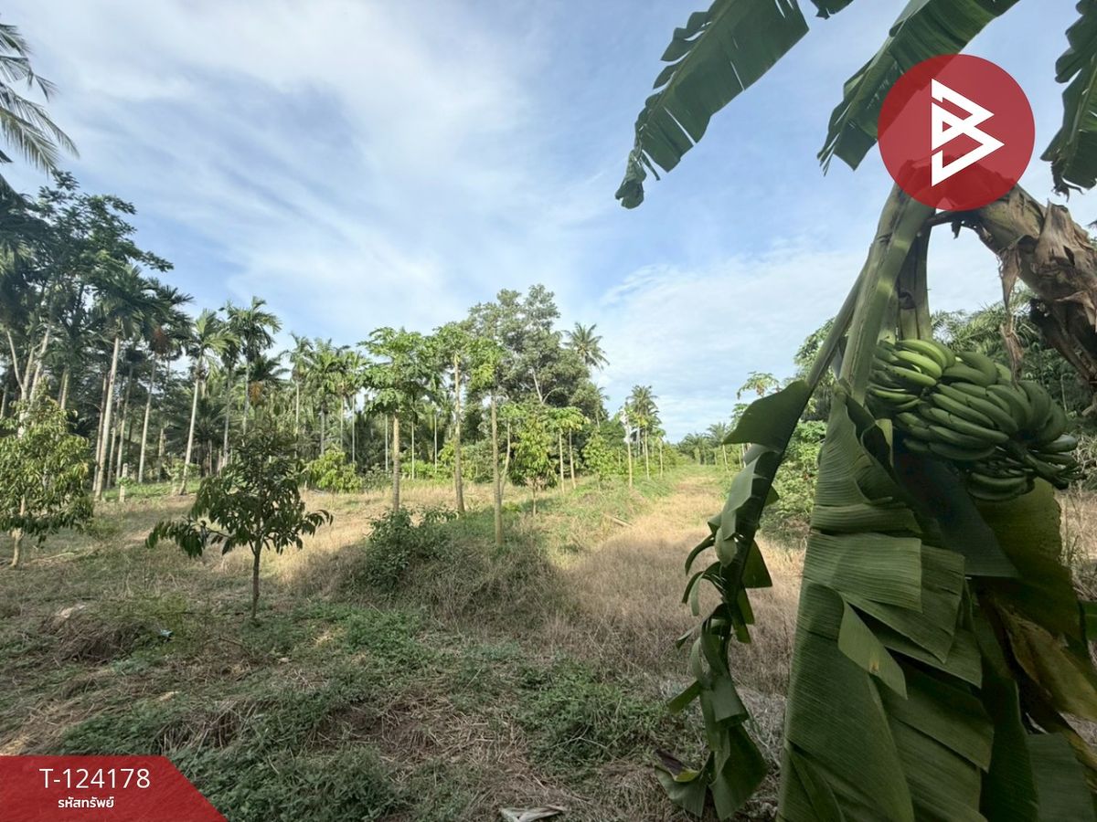 Land for sale, area 6 rai 2 ngan 99.7 sq m, Tha Sae, Chumphon. – รูปที่ 3
