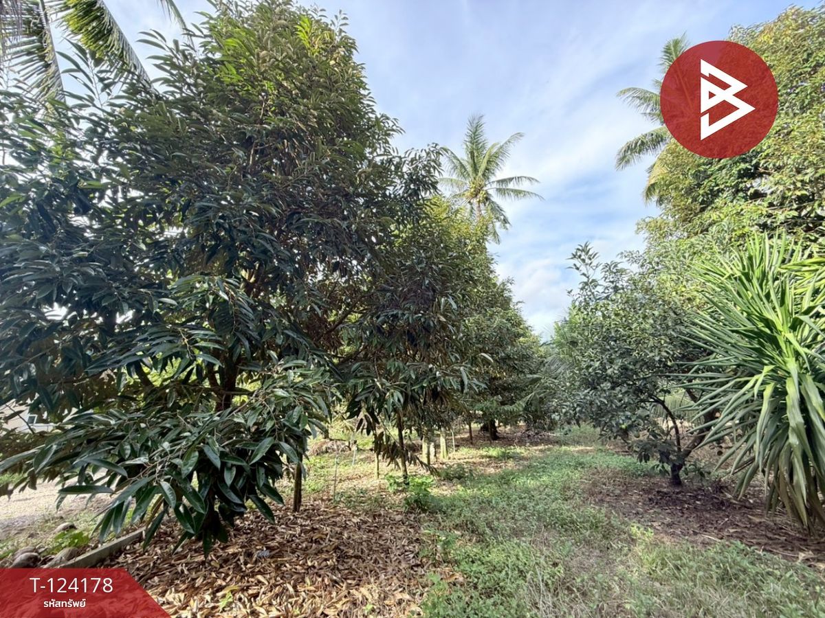 Land for sale, area 6 rai 2 ngan 99.7 sq m, Tha Sae, Chumphon. – รูปที่ 2