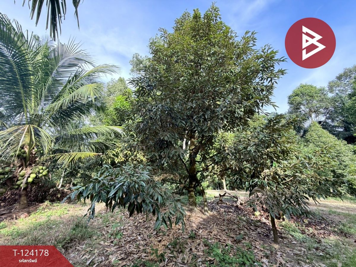Land for sale, area 6 rai 2 ngan 99.7 sq m, Tha Sae, Chumphon. – รูปที่ 4