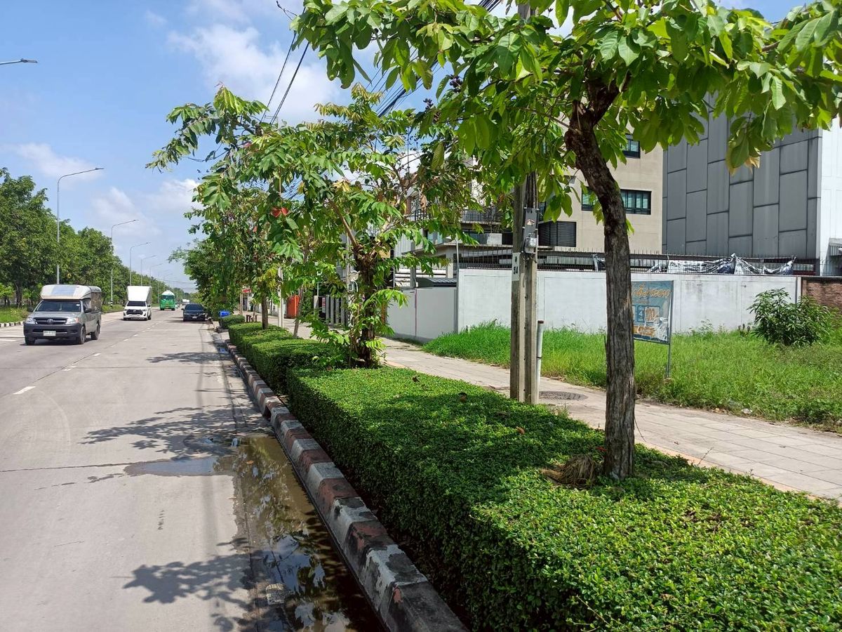 🌿 ให้เช่าที่ดินเปล่าทำเลศักยภาพ ถนนพุทธมณฑลสาย 3 ใกล้ถนนบรมราชชนนี  – รูปที่ 2