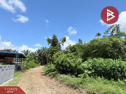 Land for sale, area 56.5 square meters, Tha Sae, Chumphon.