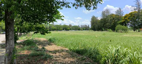 ขาย ที่ดิน 2 ไร่ ในสนามกอฟล์วินเซอร์ ทำเล เขต หนองจอก 