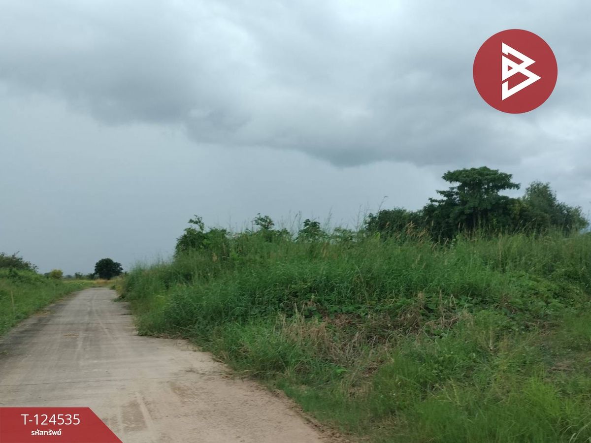 ขายที่ดิน เนื้อที่ 3 งาน 80 ตร.วา ดอนทอง พิษณุโลก – รูปที่ 3