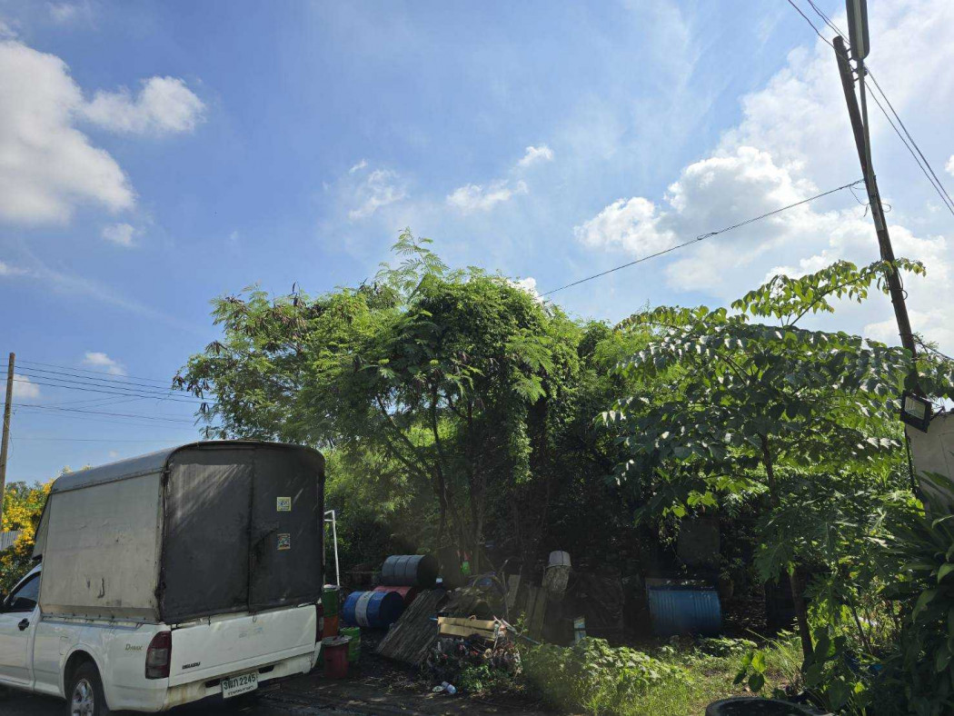 ขาย ที่ดิน คลองมะเดื่อ กระทุมแบน 1 งาน 86.60 ตรว เหมาะสร้างอพาร์ทเมนท์ – รูปที่ 2