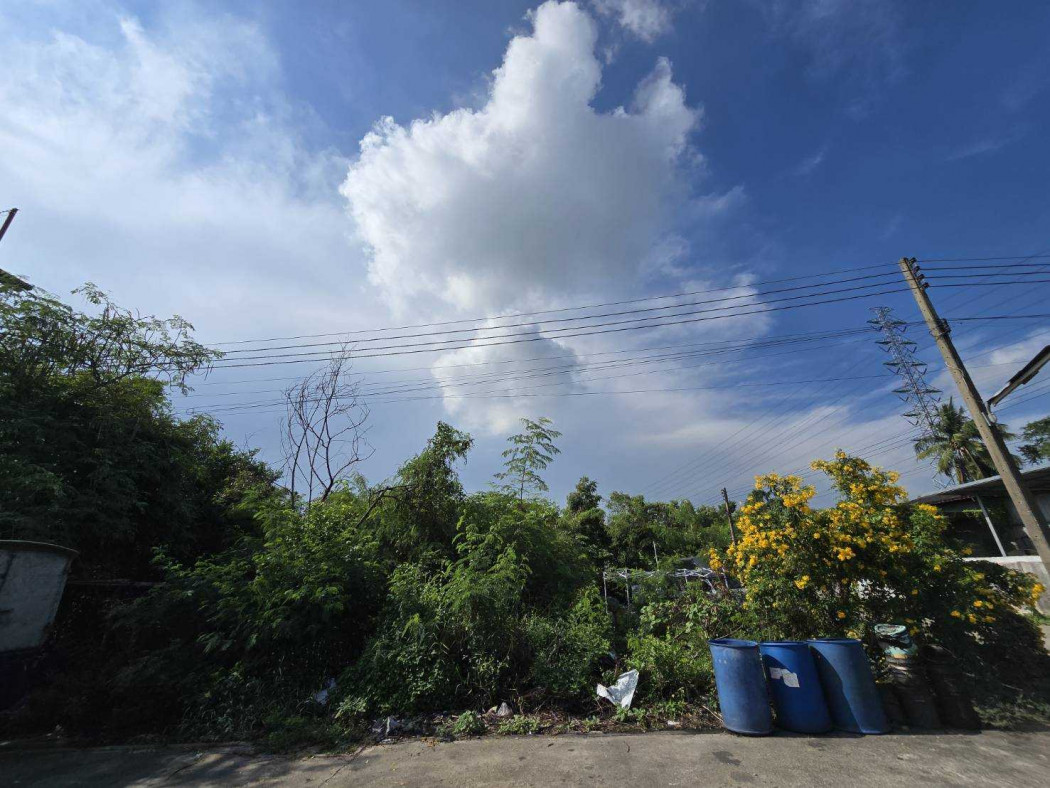 ขาย ที่ดิน คลองมะเดื่อ กระทุมแบน 1 งาน 86.60 ตรว เหมาะสร้างอพาร์ทเมนท์ – รูปที่ 4