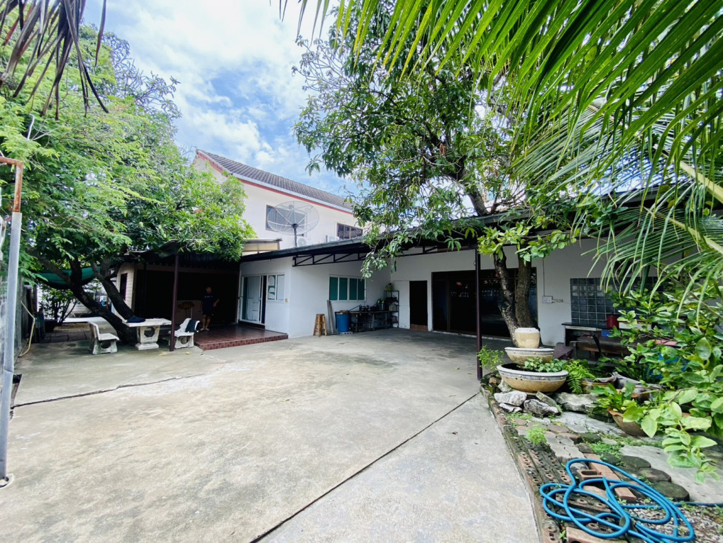 ขาย บ้านเดี่ยว หนองแขม เพชรเกษม 79 แยก 15 พื้นที่ใช้สอย 212 ตรม เนื้อที่ 1 งาน 3.9 ตรว – รูปที่ 2