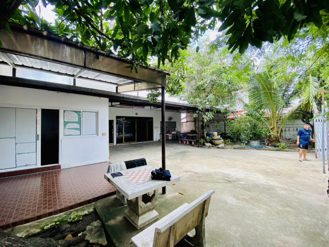 ขาย บ้านเดี่ยว หนองแขม เพชรเกษม 79 แยก 15 พื้นที่ใช้สอย 212 ตรม เนื้อที่ 1 งาน 3.9 ตรว – รูปที่ 4