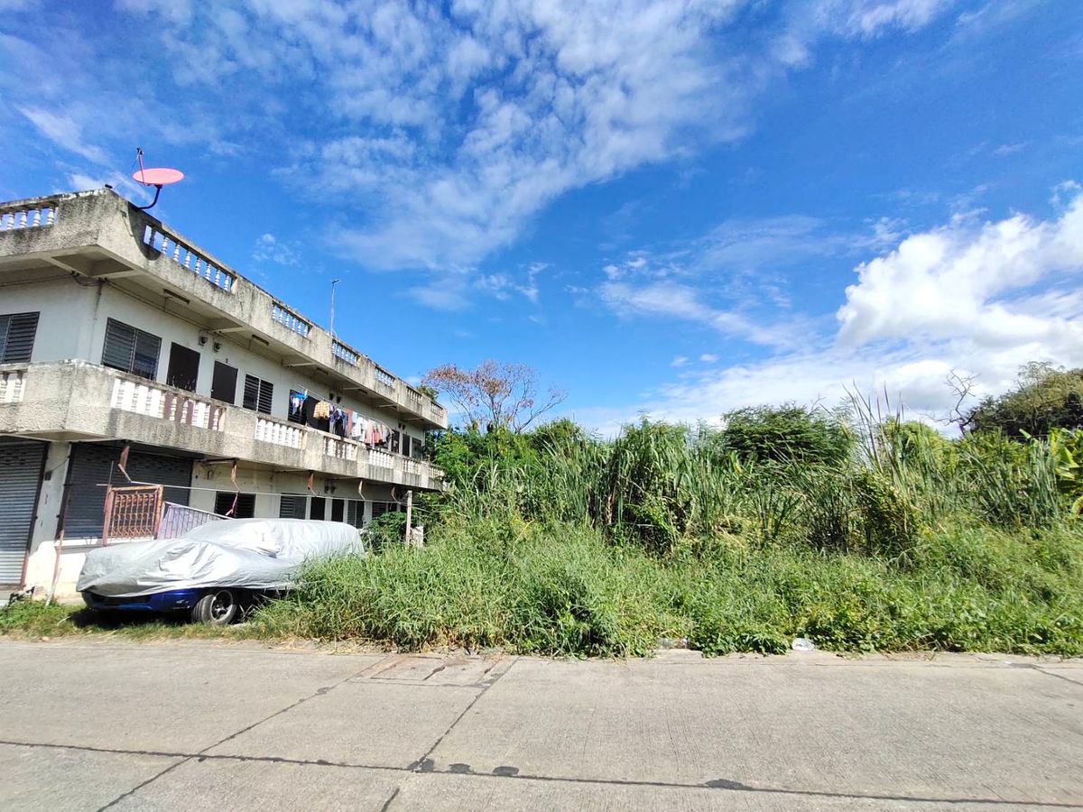 ที่ดินสวยในย่านชุมชน ราคาถูก 50ตร.ว ปรับพื้นที่แล้ว หลังตลาดคลอง2 ซ.รังสิต-นครนายก39 – รูปที่ 2