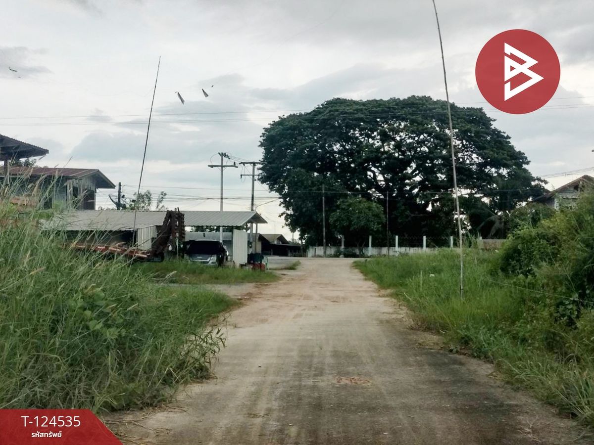 ขายที่ดิน เนื้อที่ 3 งาน 80 ตร.วา ดอนทอง พิษณุโลก – รูปที่ 4