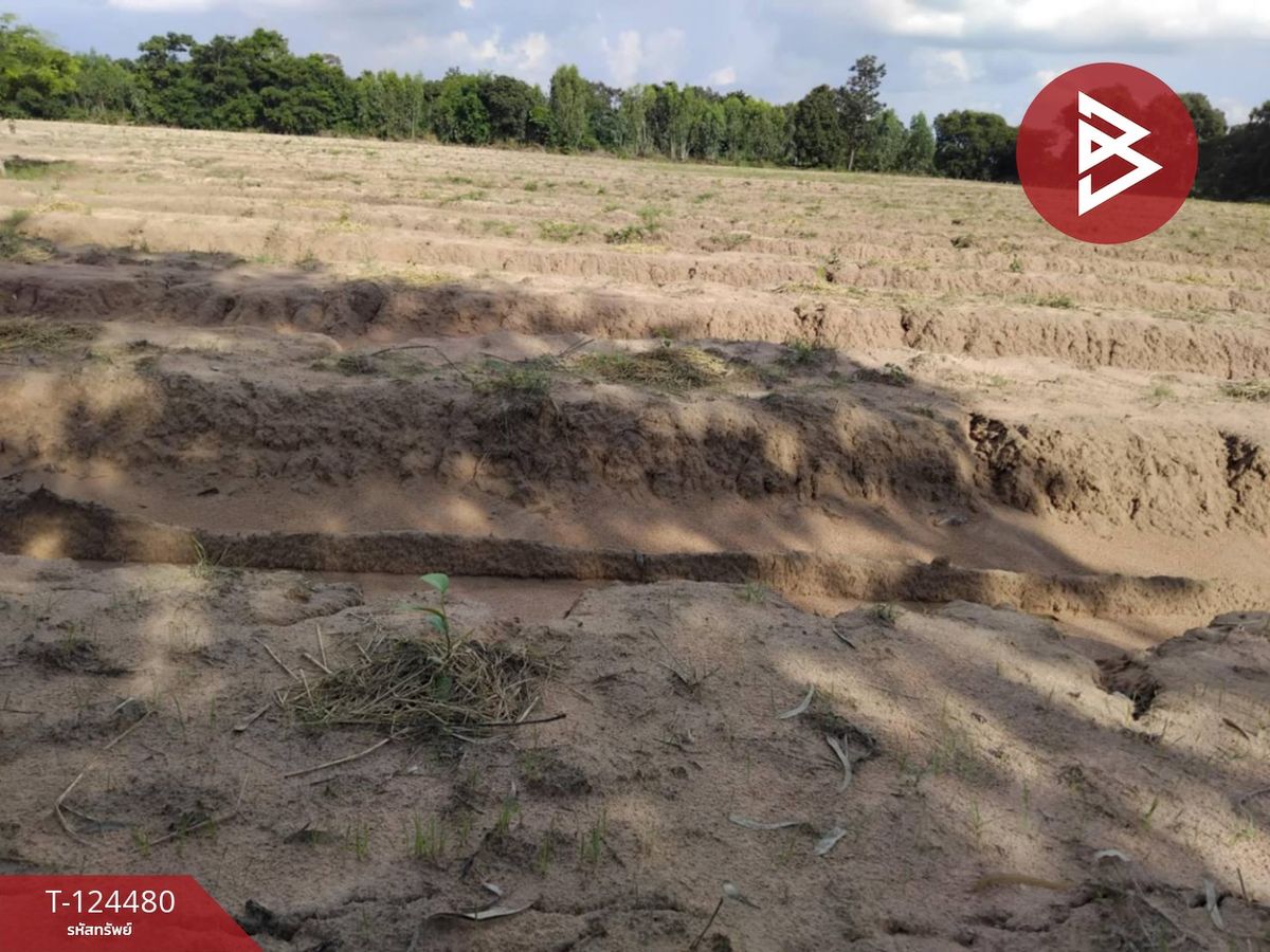 Land for sale, area 27 rai 2 ngan 80 sq m, Khueang Nai, Ubon Ratchathani. Land for sale, area 27 rai 2 ngan 80 sq m, Khueang Nai, Ubon Ratchathani.