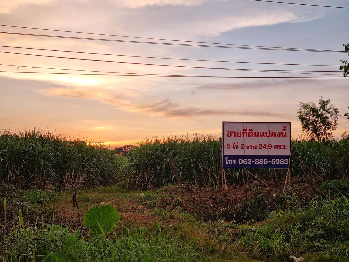 ขายที่ดินติดถนนใหญ่​ ต.ท่าเรือ​ อ.ท่ามะกา​ จ.กาญจนบุรี