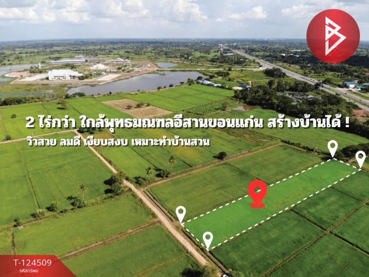 Land for sale, area 2 rai 2 ngan 23.6 sq m, Sila, Khon Kaen. – รูปที่ 3