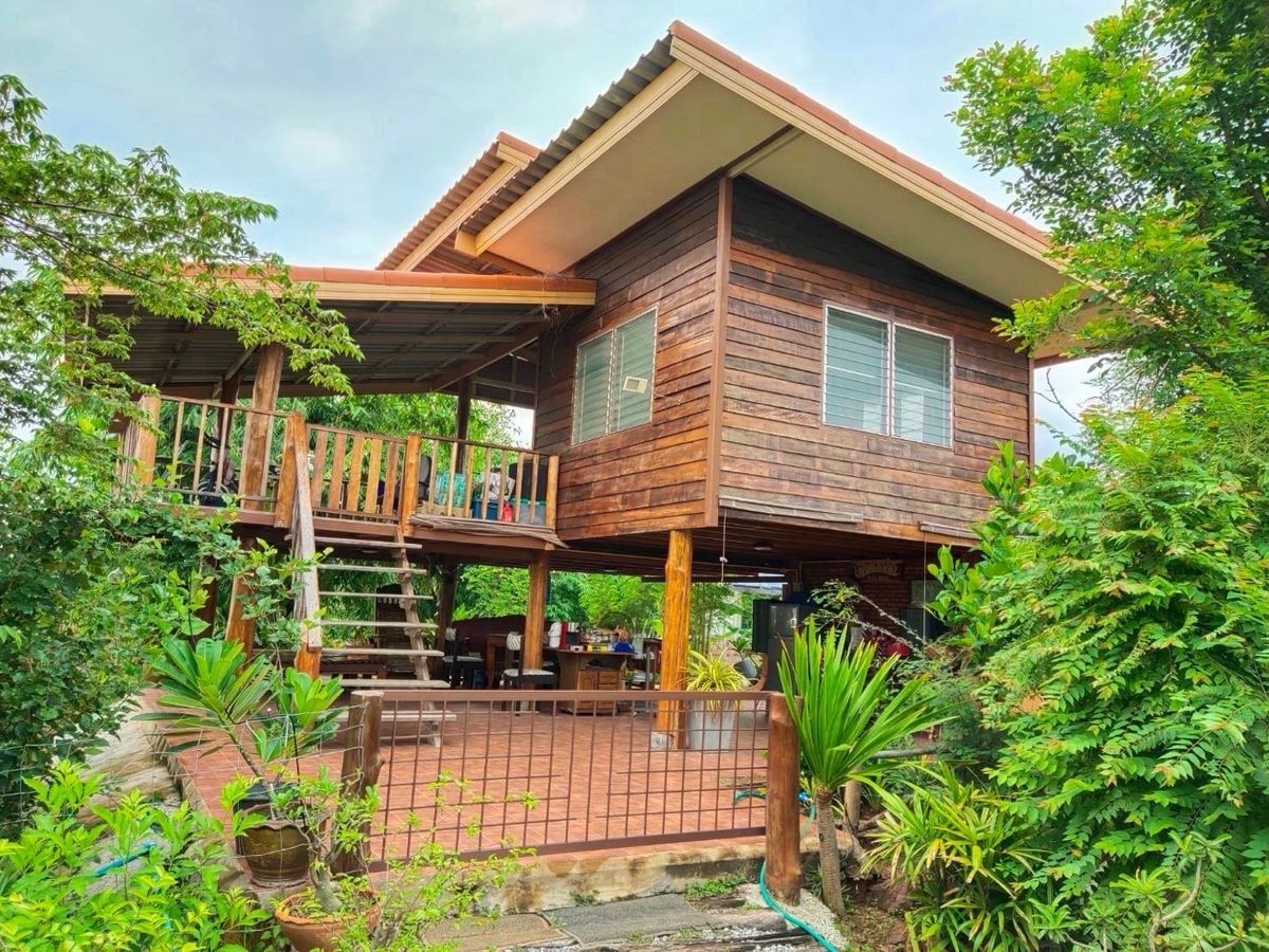ขายบ้านสวน อ.เมืองอุดรธานี 3 ไร่ 1 งาน – รูปที่ 2