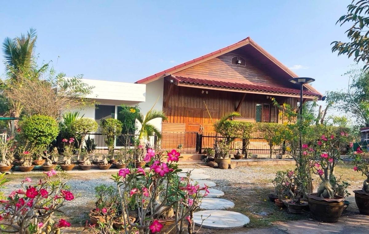 ขายบ้านสวน อ.เมืองอุดรธานี 3 ไร่ 1 งาน – รูปที่ 4