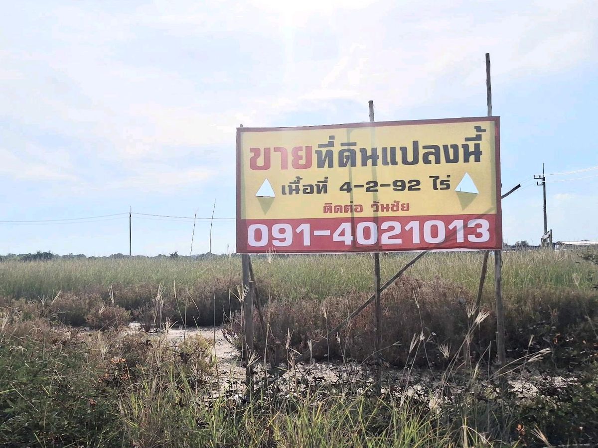 ขายที่ดินสร้างโรงงานราคาถูก ย่านเลียบคลองหลวง