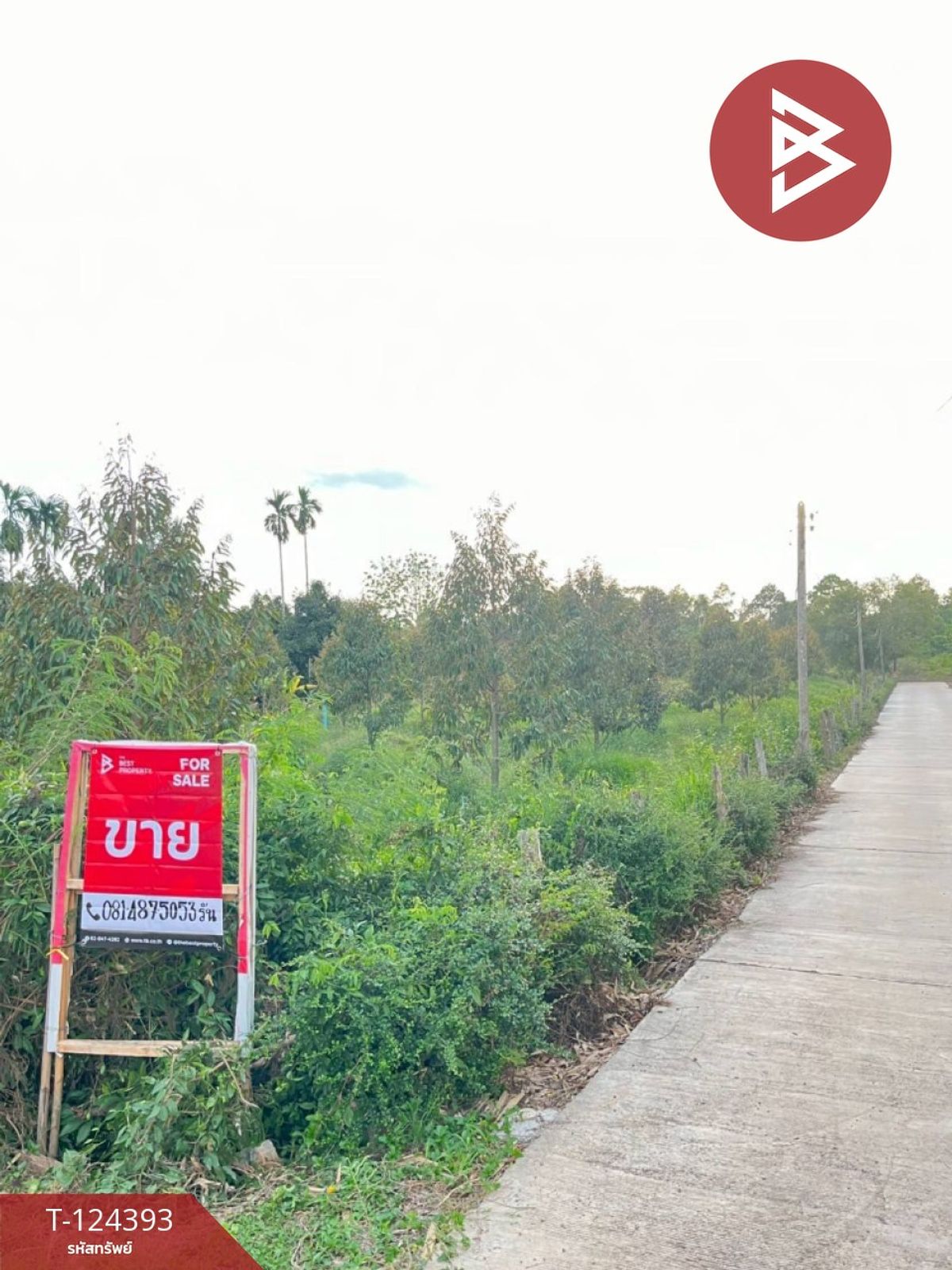 Land for sale, area 6 rai 1 ngan 90.5 sq m, Klaeng, Rayong. – รูปที่ 2