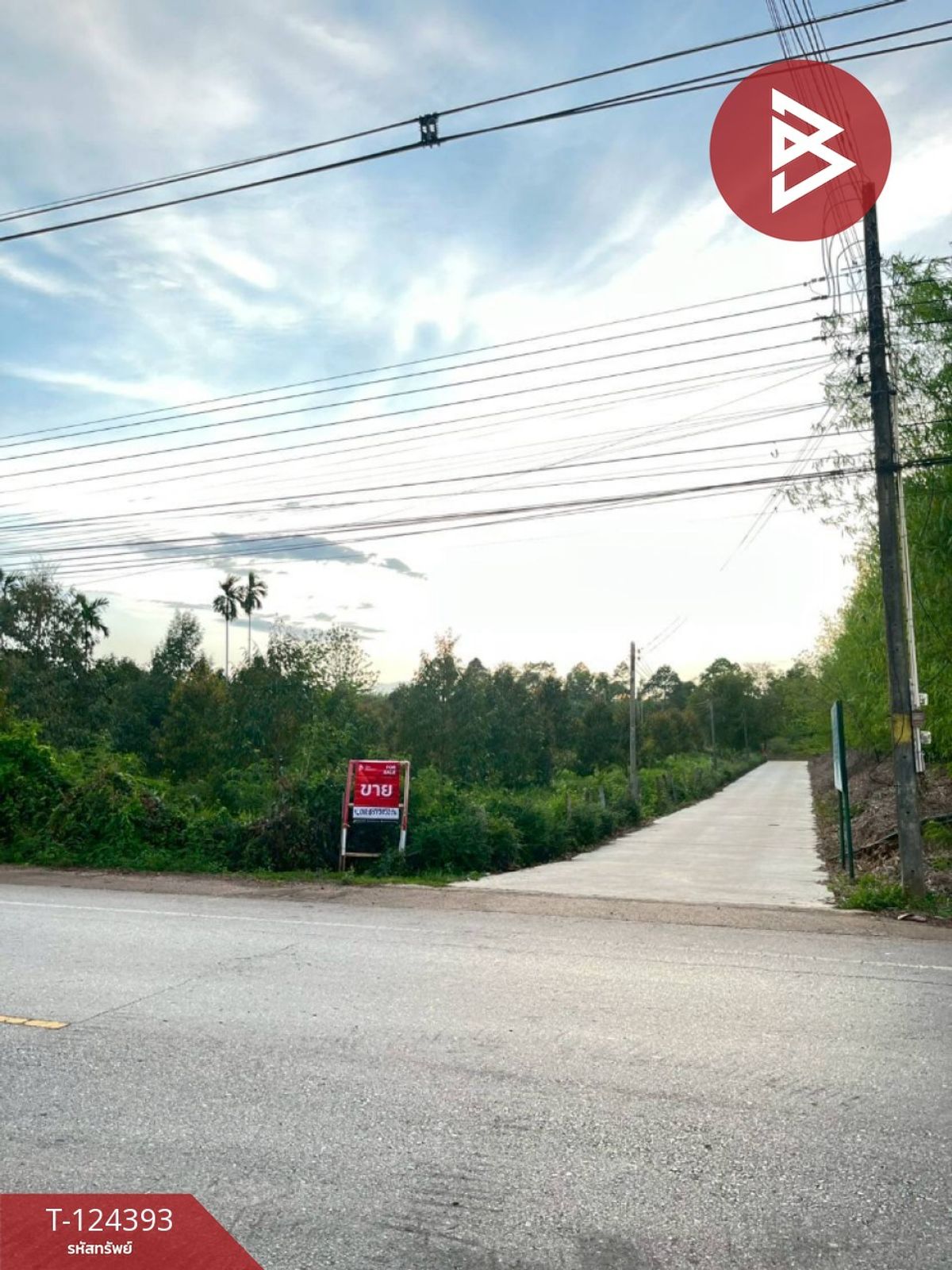 Land for sale, area 6 rai 1 ngan 90.5 sq m, Klaeng, Rayong. – รูปที่ 4
