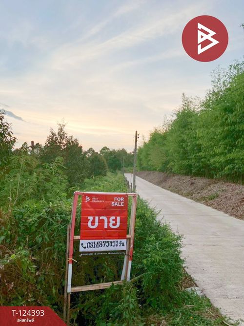 Land for sale, area 6 rai 1 ngan 90.5 sq m, Klaeng, Rayong.