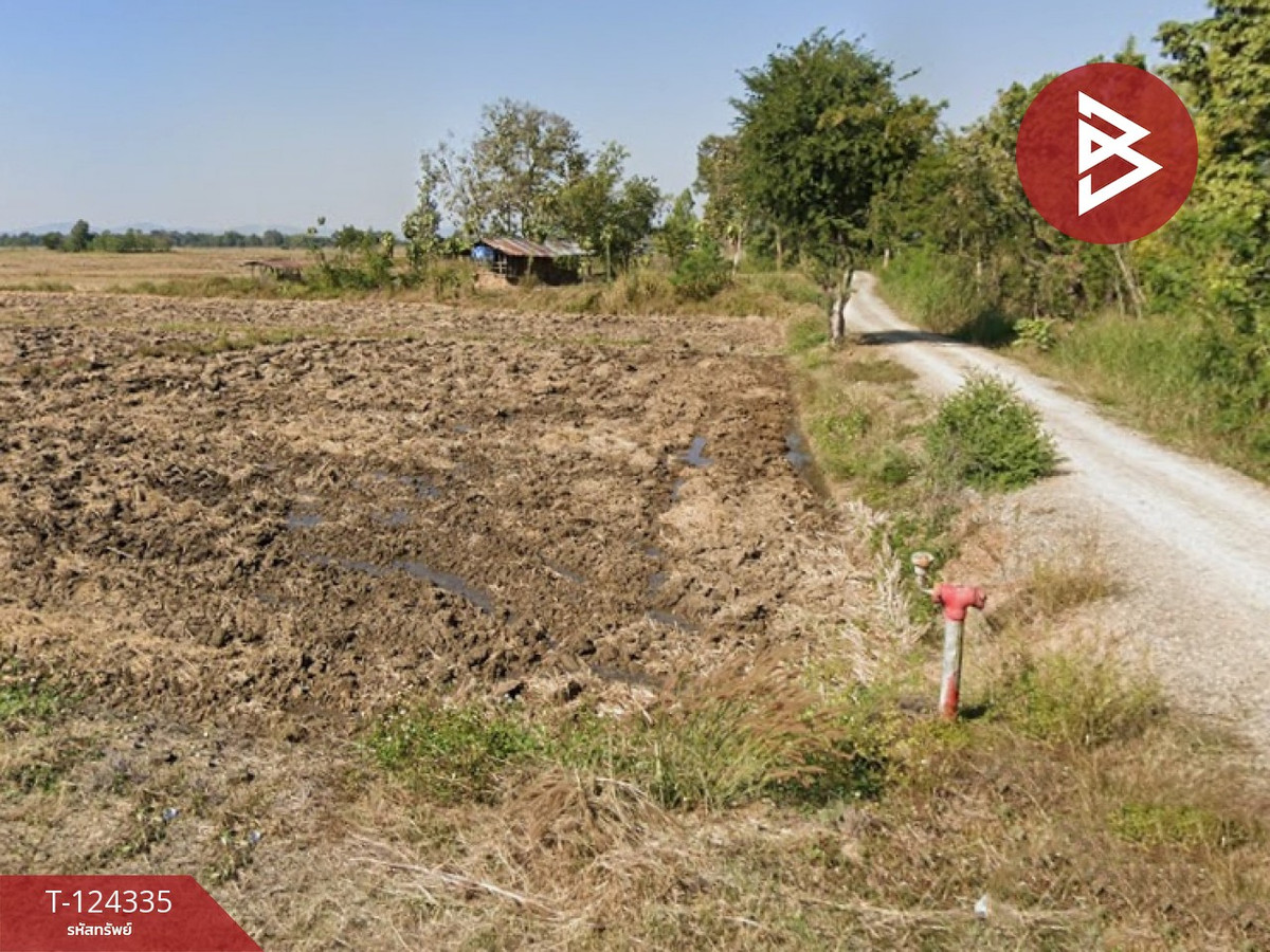 Land for sale, area 10 rai 2 ngan 73 sq m, Dok Khamtai, Phayao. – รูปที่ 3