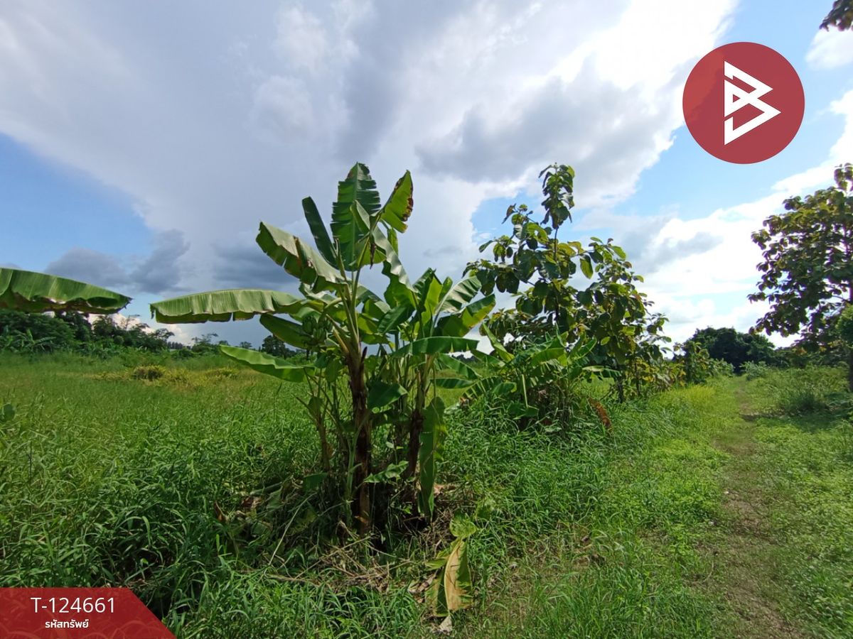Land for sale, area 18 rai 1 ngan 24 sq m, Nong Khae, Saraburi – รูปที่ 3