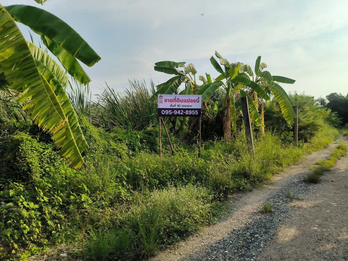Vacant Land for Sale in Bangna, Size 92 sq. wah, near Mega Bangna – รูปที่ 3