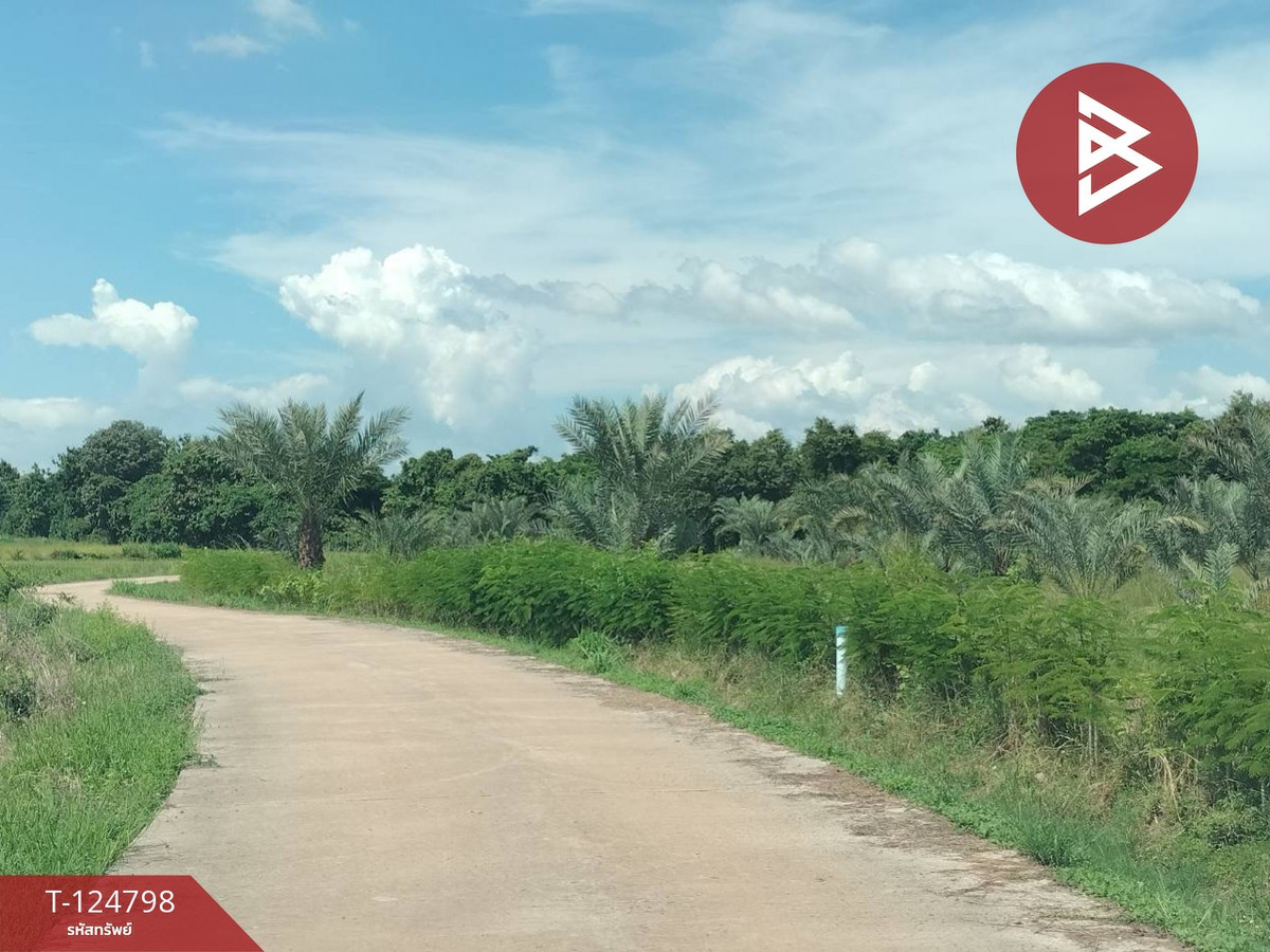 Fruit orchard land for sale With buildings, area 23 rai 1 ngan 64 square wa, Phitsanulok – รูปที่ 3