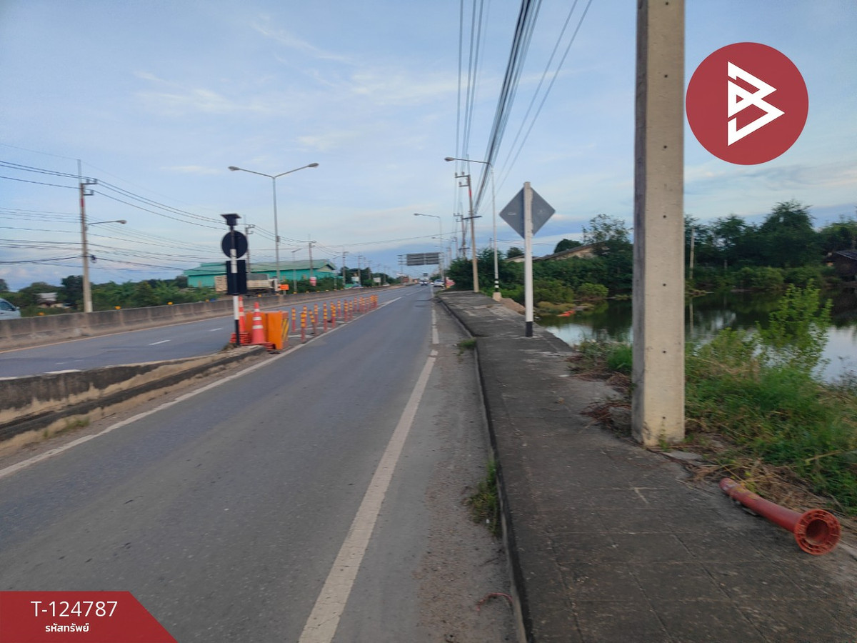 ขายที่ดินแปลงใหญ่ เนื้อที่ 115 ไร่ 2 งาน 75 ตารางวา บ้านโพธิ์ ฉะเชิงเทรา – รูปที่ 3