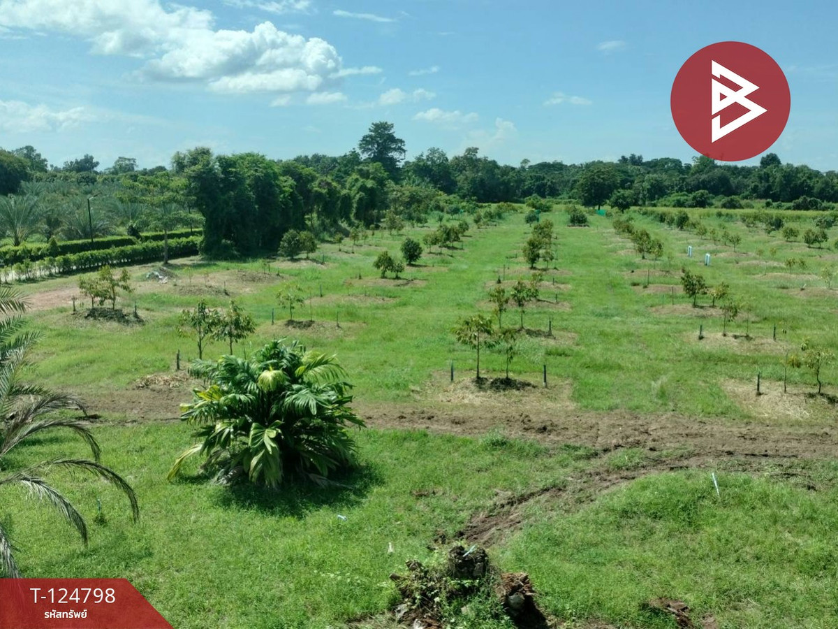 Fruit orchard land for sale With buildings, area 23 rai 1 ngan 64 square wa, Phitsanulok – รูปที่ 2
