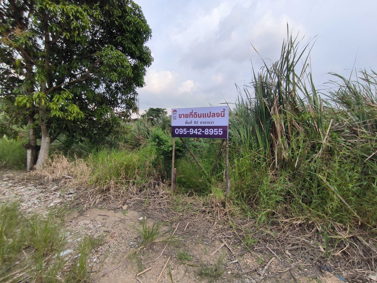 Vacant Land for Sale in Bangna, Size 92 sq. wah, near Mega Bangna – รูปที่ 3