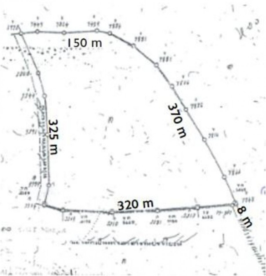 Land for sale in Phuket, Thalang, size 49 rai 1 ngan 60.2 sq wa, already filled – รูปที่ 4