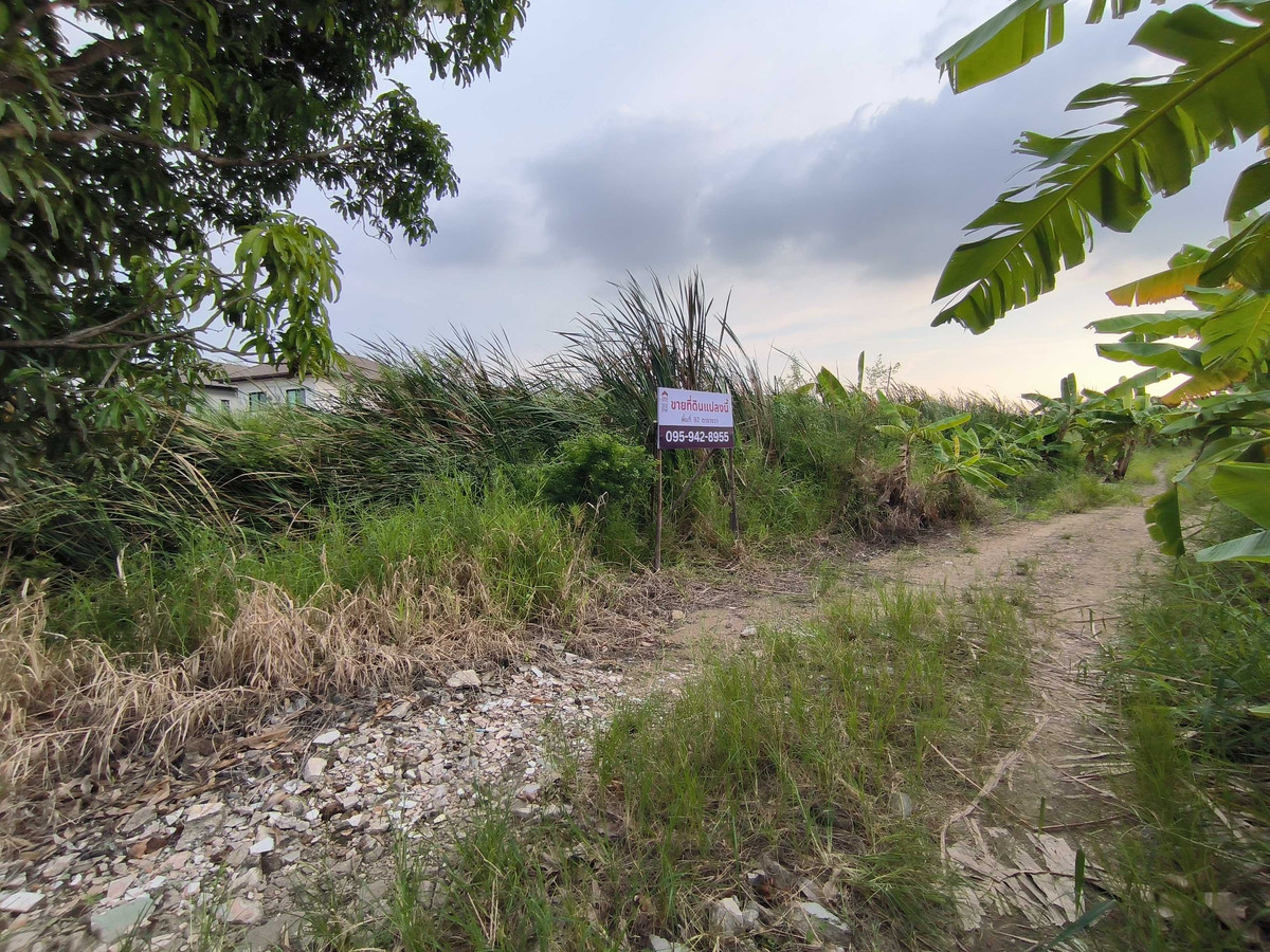 ขายที่ดินเปล่าบางนา ขนาด 92 ตร.ว. ใกล้เมกาบางนา – รูปที่ 3