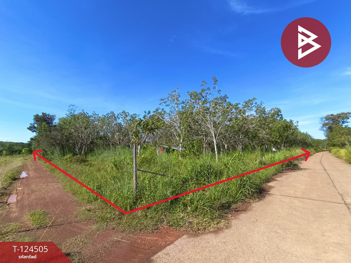 Land for sale with garden, area 19 rai 1 ngan 50 sq m, Seka, Bueng Kan Land for sale with garden, area 19 rai 1 ngan 50 sq m, Seka, Bueng Kan