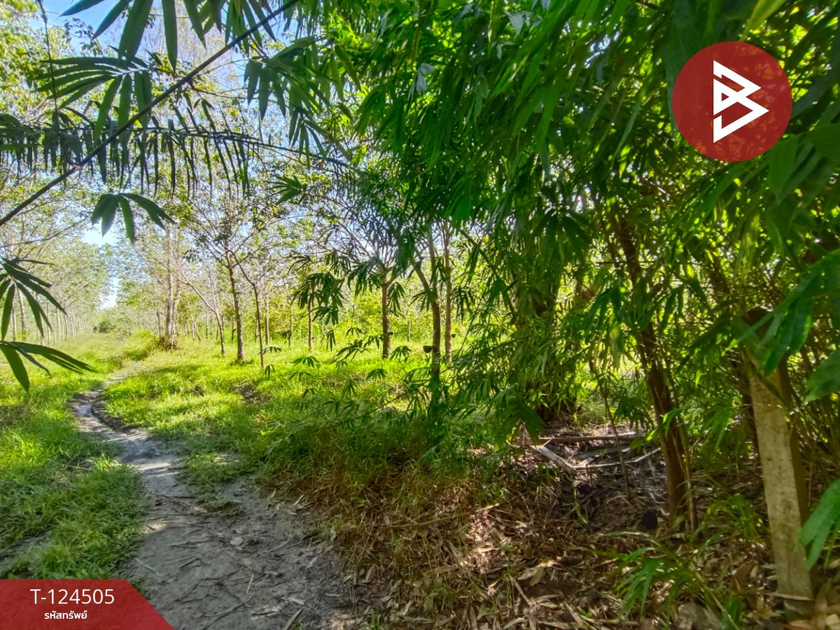 ขายที่ดินพร้อมสวน เนื้อที่ 19 ไร่ 1 งาน 50 ตร.วา เซกา บึงกาฬ – รูปที่ 4