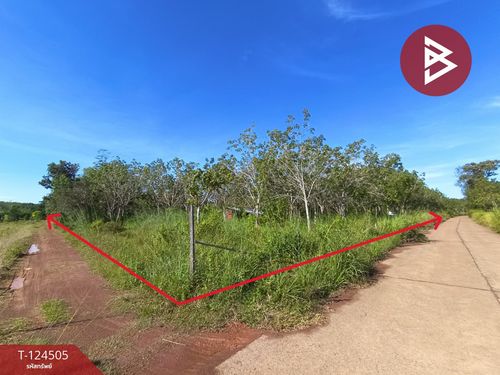 Land for sale with garden, area 19 rai 1 ngan 50 sq m, Seka, Bueng Kan