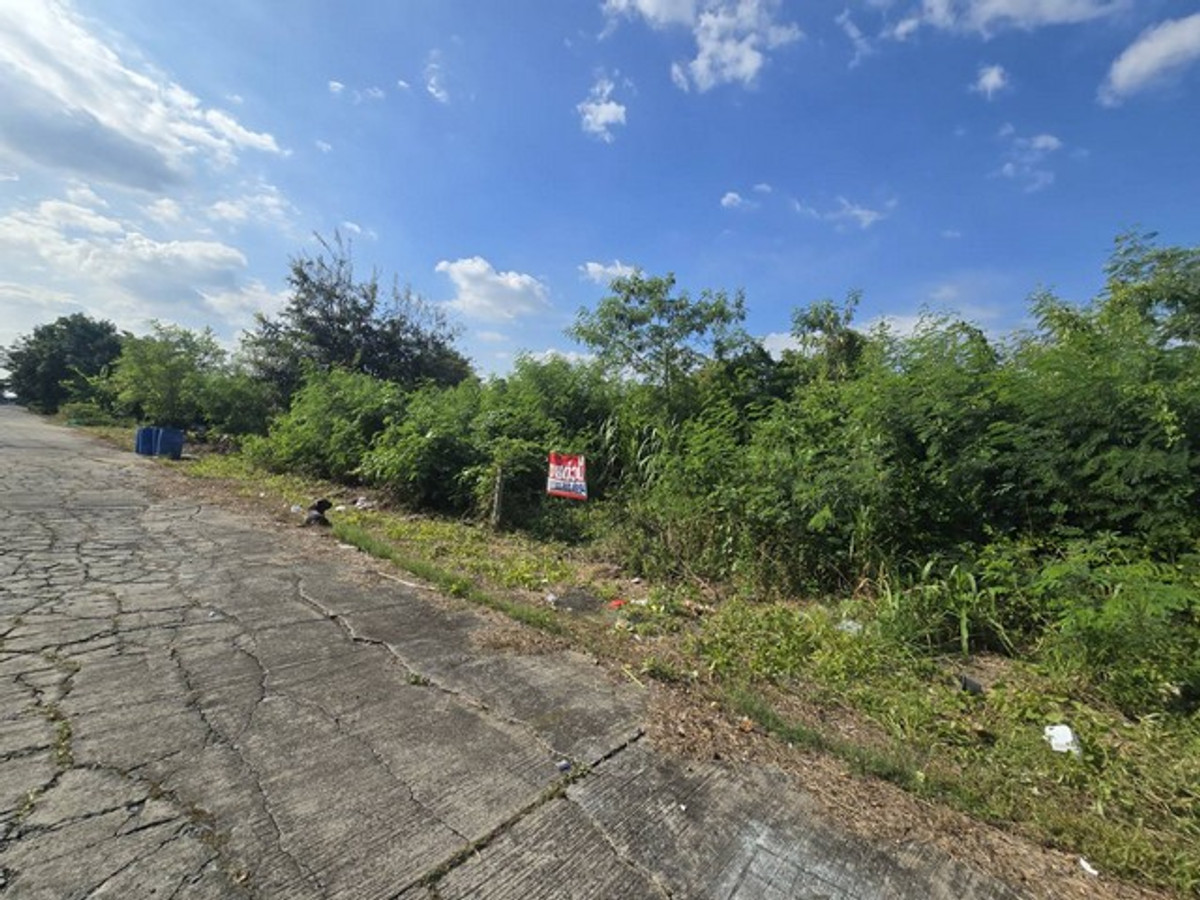 Empty land for sale in Pathum Thani, 2-0-41.1 rai, near Techno Thani. and the science museum, prime location for investment, water and electricity ready – รูปที่ 2