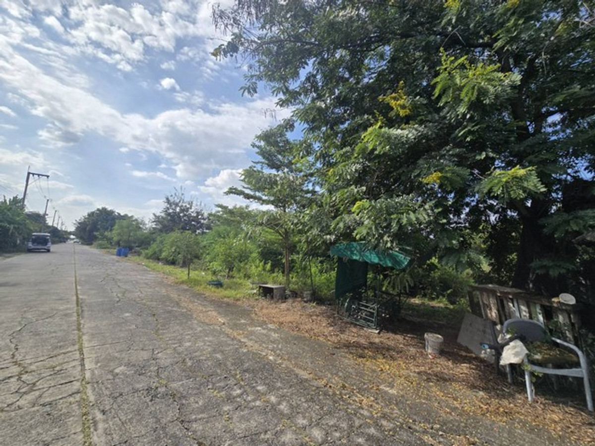 Empty land for sale in Pathum Thani, 2-0-41.1 rai, near Techno Thani. and the science museum, prime location for investment, water and electricity ready – รูปที่ 4