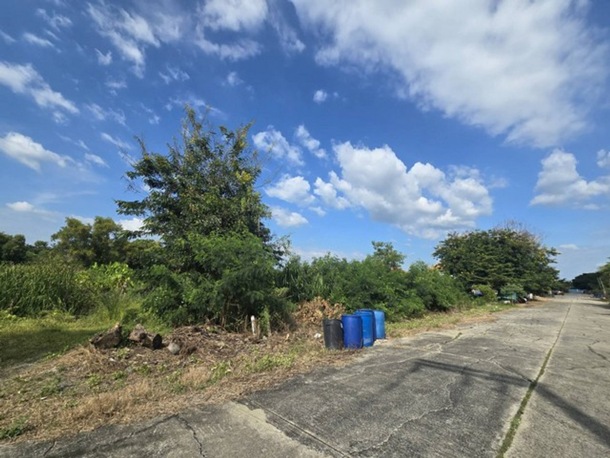 Empty land for sale in Pathum Thani, 2-0-41.1 rai, near Techno Thani. and the science museum, prime location for investment, water and electricity ready – รูปที่ 3