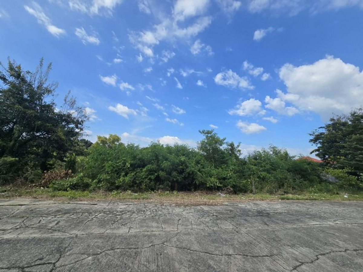 Empty land for sale in Pathum Thani, 2-0-41.1 rai, near Techno Thani. and the science museum, prime location for investment, water and electricity ready