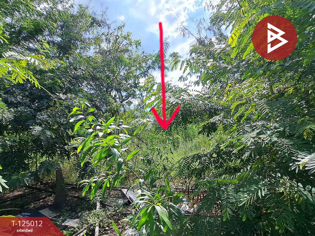 Land for sale, area 89 square meters, Phutthamonthon, Nakhon Pathom – รูปที่ 3