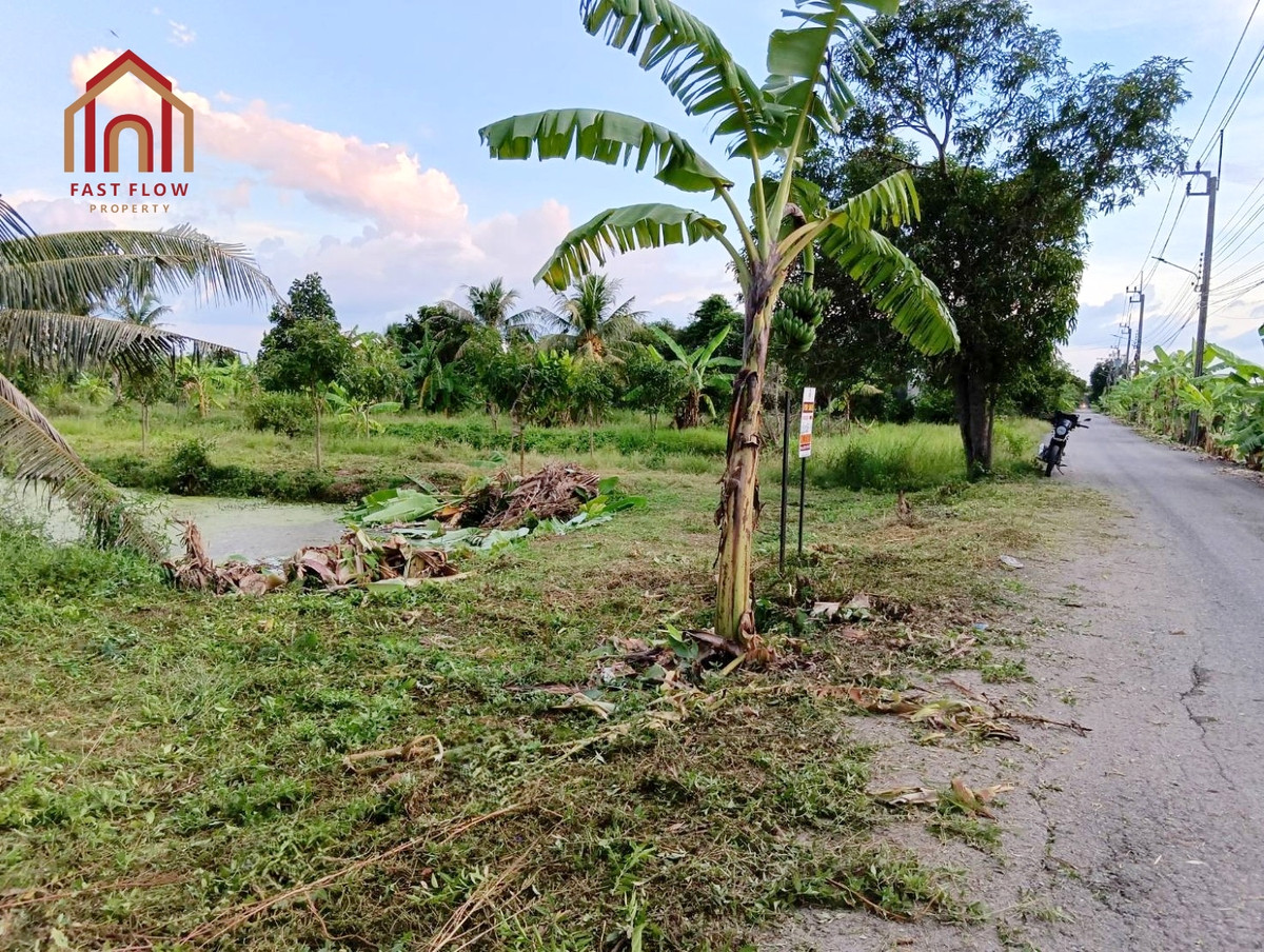 ขาย ที่ดิน 3 ไร่ ซอยไมตรีจิต 8 ที่ดินเปล่า แบ่งขายได้ ใกล้โรงพยาบาลรัตนประชารักษ์ ใกล้ถนนนิมิตใหม่ ถนนสุวินทวงศ์ ลำลูกกา สายไหม ซอยไมตรีจิต10 SOM – รูปที่ 3