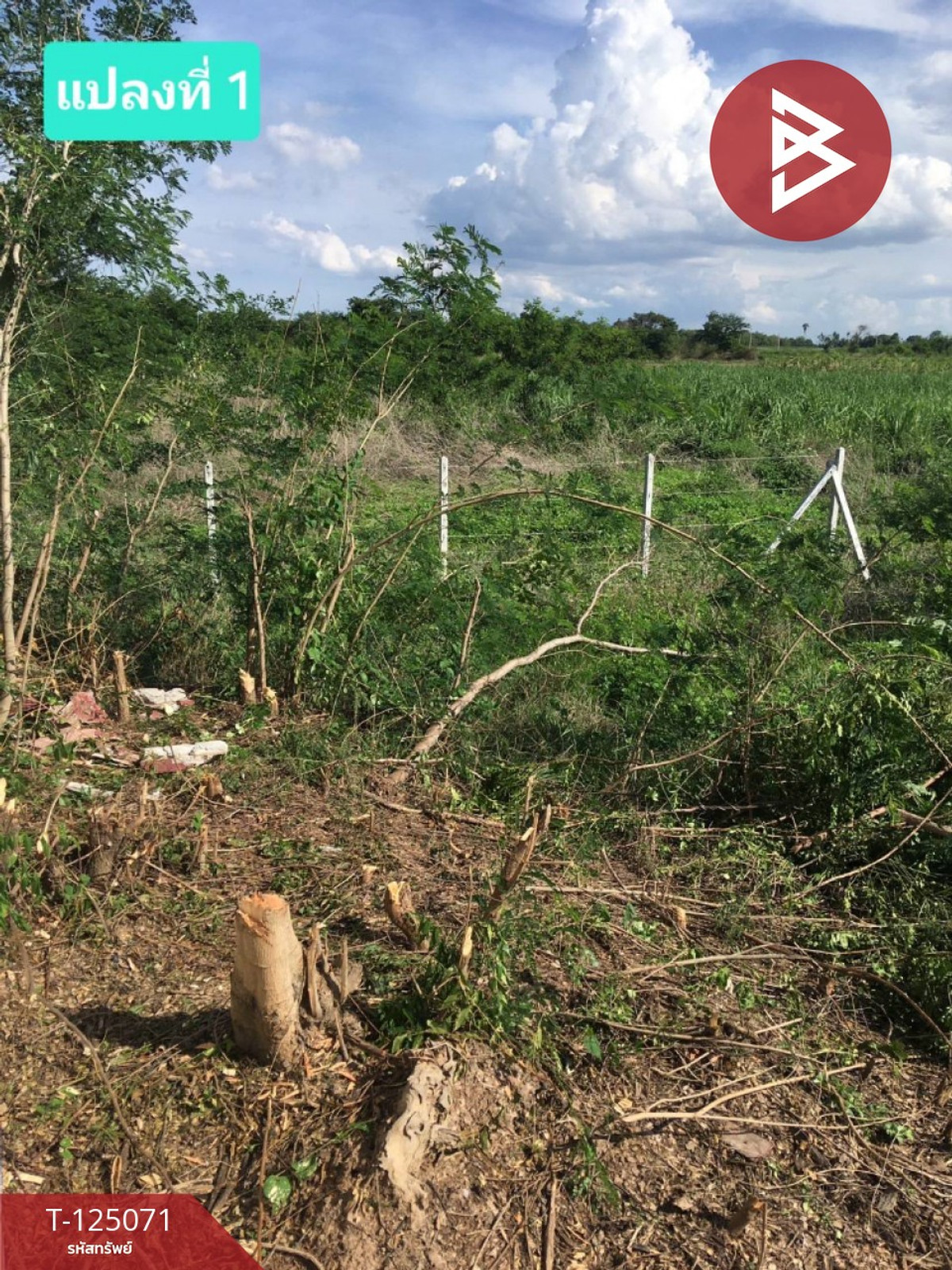 ขายที่ดิน เนื้อที่ 2 ไร่ 72.9 ตร.วา บ้านโป่ง ราชบุรี – รูปที่ 3
