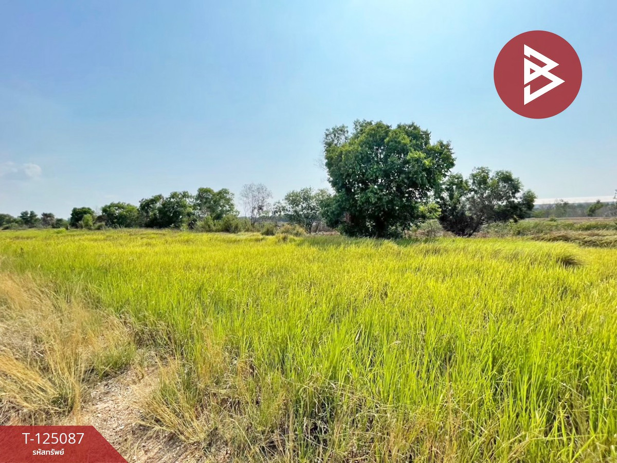 Urgent sale of land, area 1 rai, Bang Nam Priao, Chachoengsao, good atmosphere. – รูปที่ 3