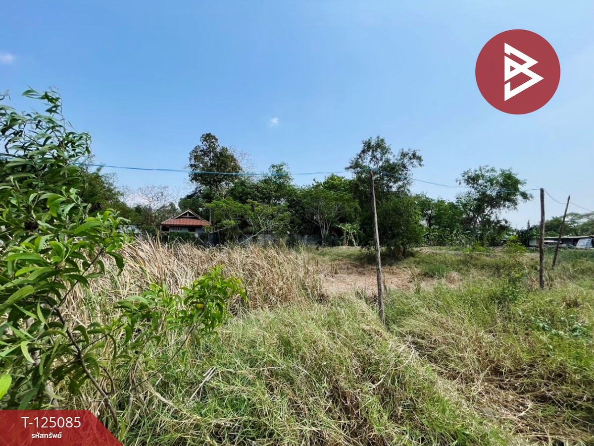 Land for sale ready to build a house, area 122 sq m, Soi Sangkhasantisuk 40, Nong Chok, Bangkok. Land for sale ready to build a house, area 122 sq m, Soi Sangkhasantisuk 40, Nong Chok, Bangkok.