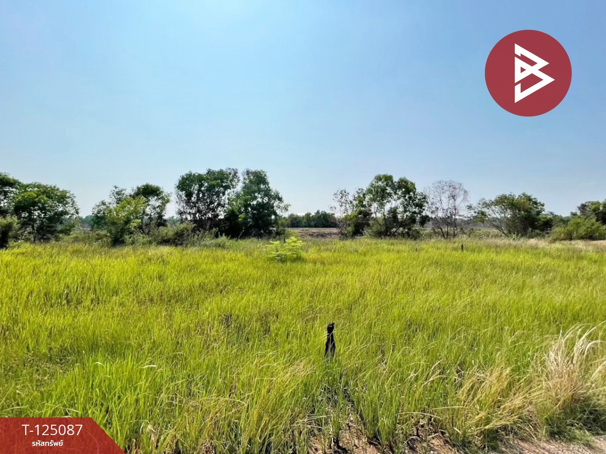 Urgent sale of land, area 1 rai, Bang Nam Priao, Chachoengsao, good atmosphere. – รูปที่ 4